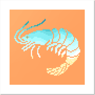 Modern Pixel Sea Shrimp Posters and Art